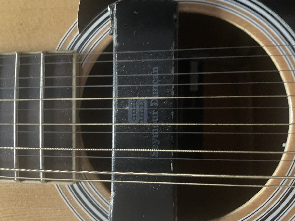Paragon 12-String Acoustic Guitar Bundle + Seymour Duncan Pickup & Gator Hard Ca